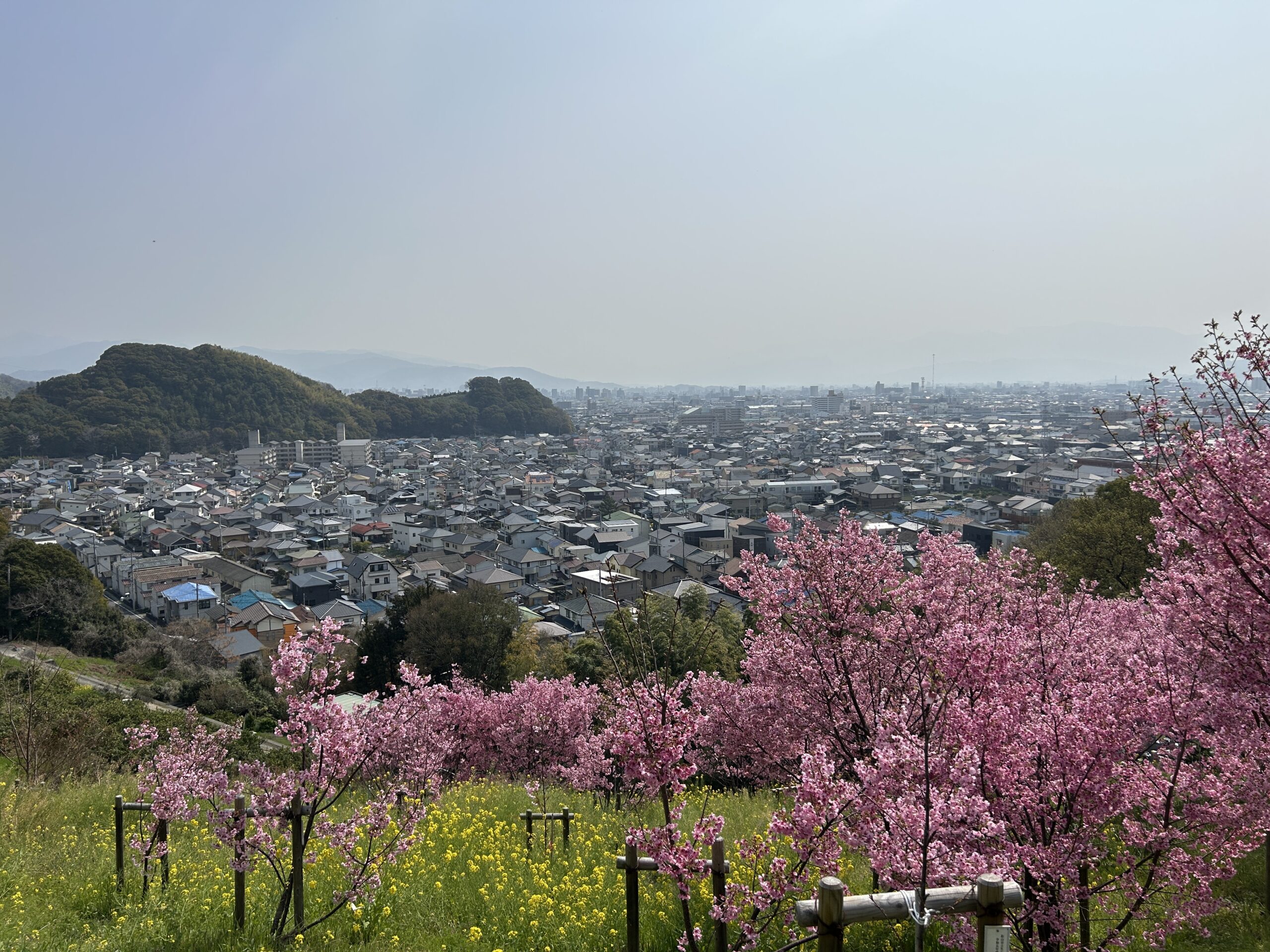 垣生山山頂からの松山市街の眺め