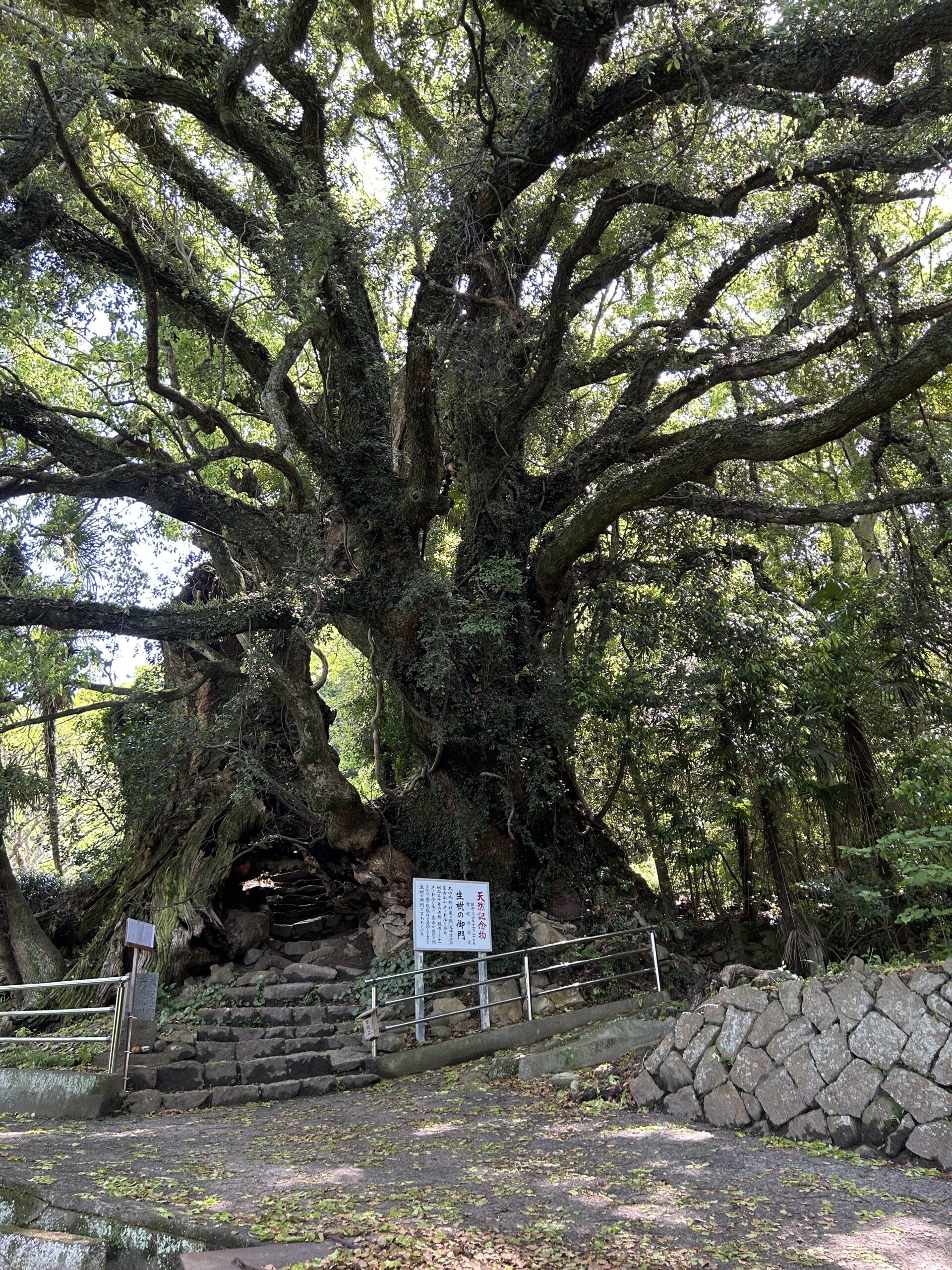 生樹の御門 外観と天然記念物の看板