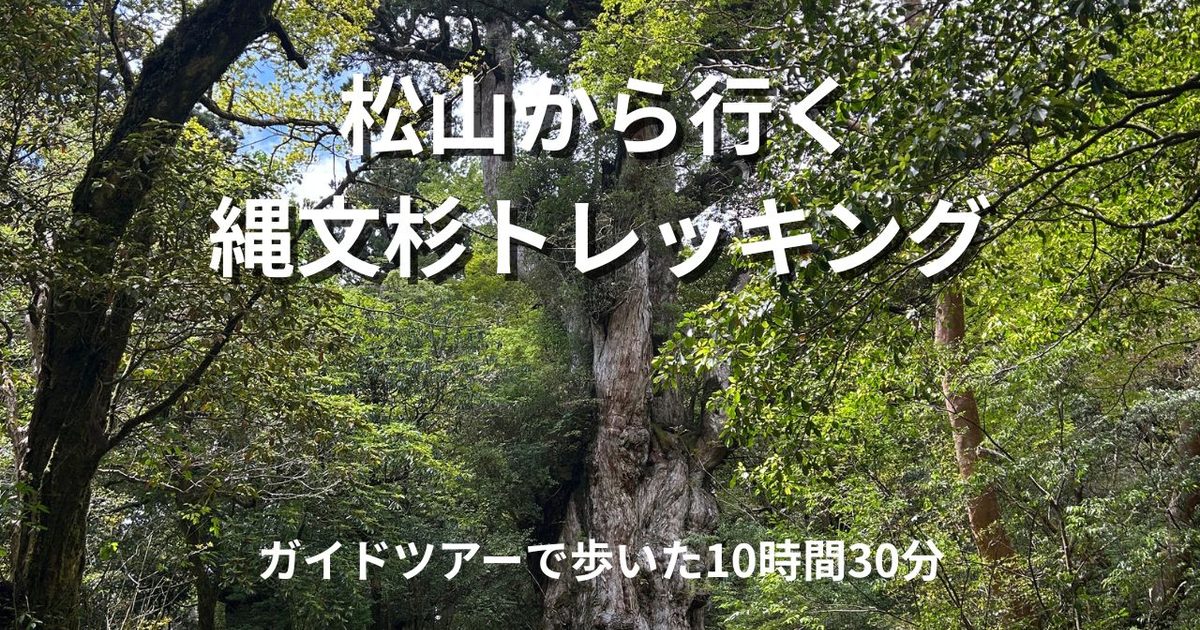 縄文杉トレッキング｜屋久島の原生林に立つ縄文杉