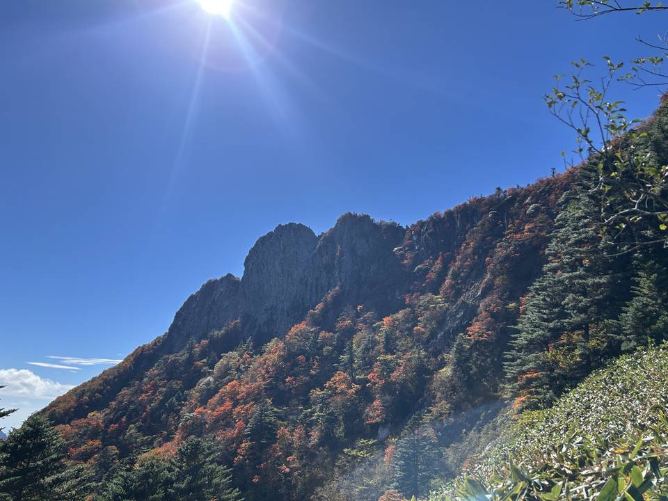 石鎚山の切り立った岩壁と、その斜面を染める紅葉