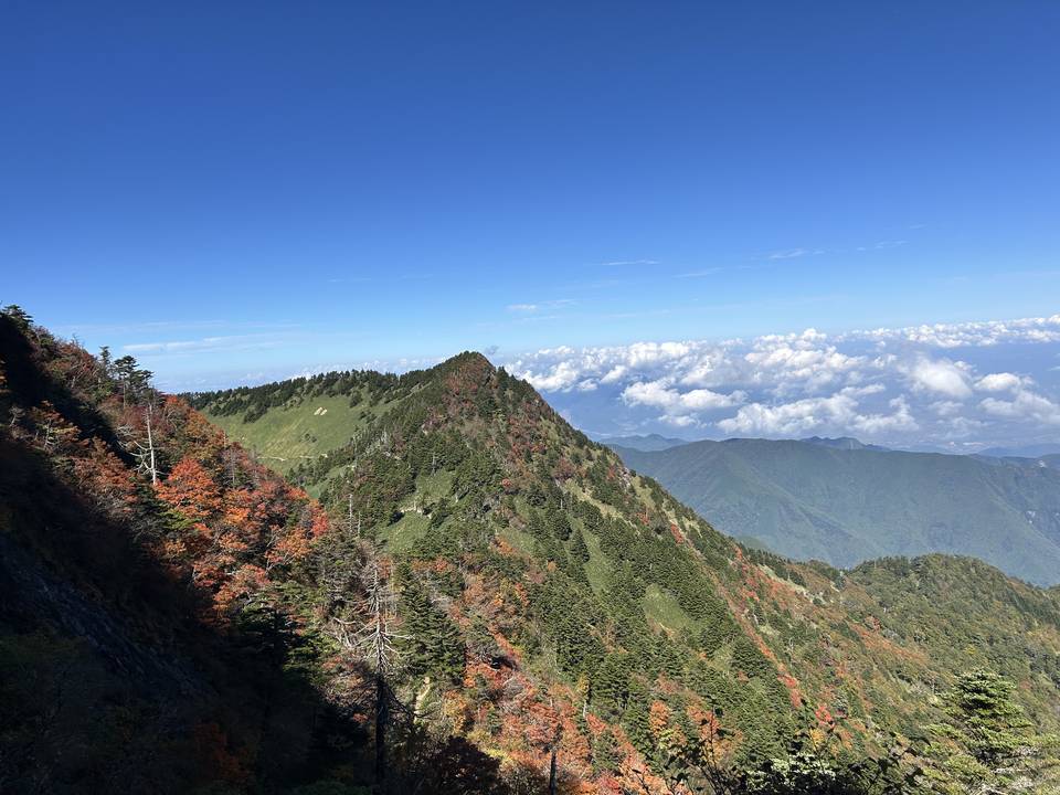 石鎚山から見た稜線の紅葉と、その向こうに広がる雲海