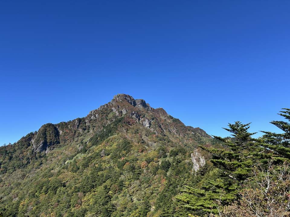 青空の下にそびえる石鎚山の山頂部。岩峰の斜面がまだらに色づいている